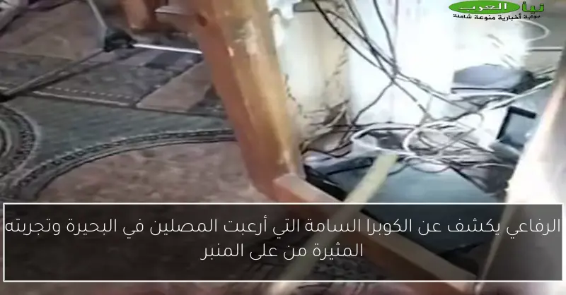 الرفاعي يكشف عن الكوبرا السامة التي أرعبت المصلين في البحيرة وتجربته المثيرة من على المنبر