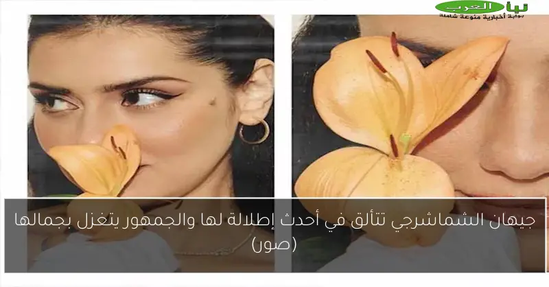 جيهان الشماشرجي تتألق في أحدث إطلالة لها والجمهور يتغزل بجمالها (صور)