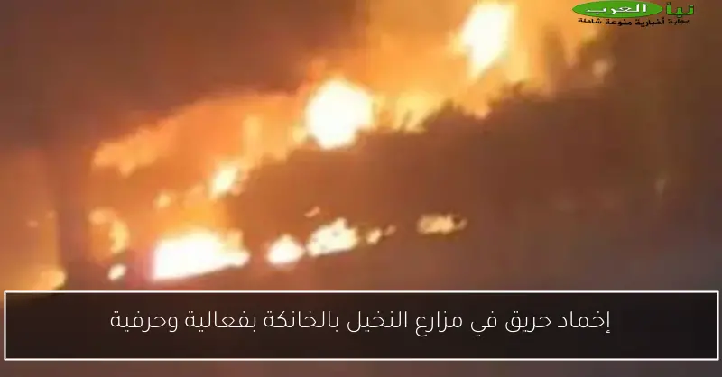 إخماد حريق في مزارع النخيل بالخانكة بفعالية وحرفية