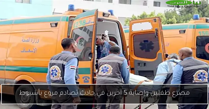 مصرع طفلين وإصابة 5 آخرين في حادث تصادم مروع بأسيوط