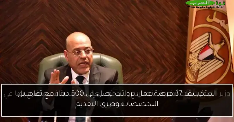 استكشف 37 فرصة عمل برواتب تصل إلى 500 دينار مع تفاصيل التخصصات وطرق التقديم