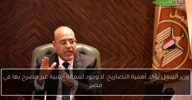 وزير العمل يؤكد أهمية التصاريح: لا وجود لعمالة أجنبية غير مصرح بها في مصر