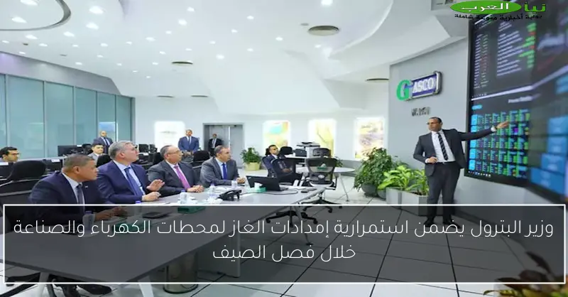 وزير البترول يضمن استمرارية إمدادات الغاز لمحطات الكهرباء والصناعة خلال فصل الصيف