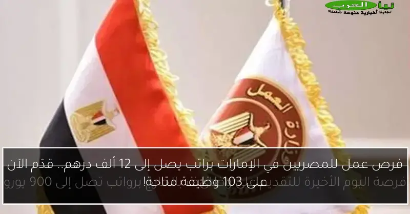 فرص عمل للمصريين في الإمارات براتب يصل إلى 12 ألف درهم.. قدّم الآن على 103 وظيفة متاحة!