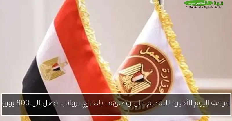 فرصة اليوم الأخيرة للتقديم على وظائف بالخارج برواتب تصل إلى 900 يورو