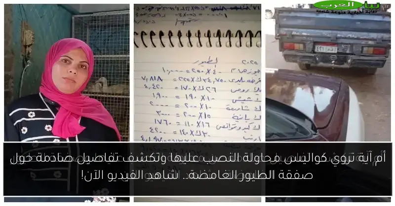 أم آية تروي كواليس محاولة النصب عليها وتكشف تفاصيل صادمة حول صفقة الطيور الغامضة.. شاهد الفيديو الآن!