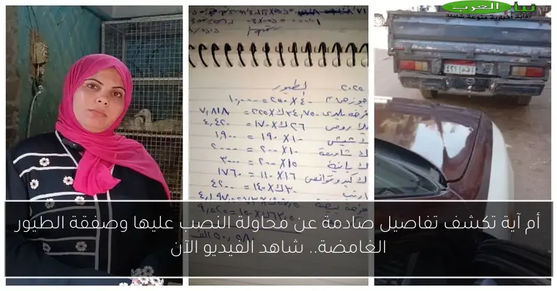 أم آية تكشف تفاصيل صادمة عن محاولة النصب عليها وصفقة الطيور الغامضة.. شاهد الفيديو الآن