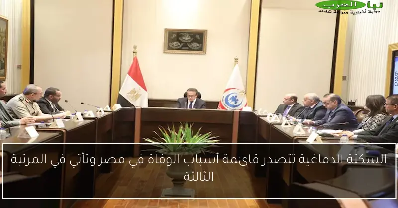 السكتة الدماغية تتصدر قائمة أسباب الوفاة في مصر وتأتي في المرتبة الثالثة