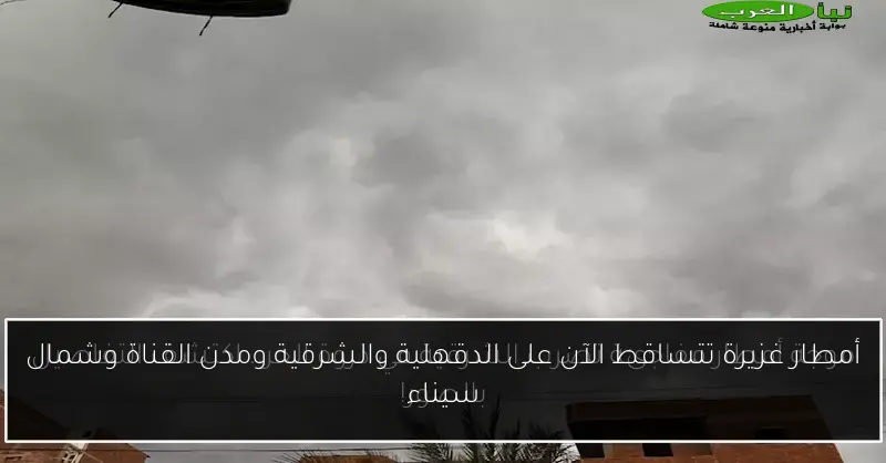 أمطار غزيرة تتساقط الآن على الدقهلية والشرقية ومدن القناة وشمال سيناء