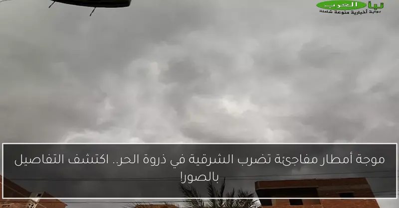 موجة أمطار مفاجئة تضرب الشرقية في ذروة الحر.. اكتشف التفاصيل بالصور!