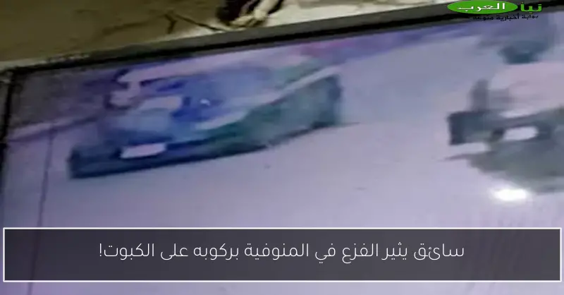 سائق يثير الفزع في المنوفية بركوبه على الكبوت!