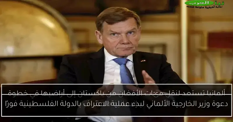 دعوة وزير الخارجية الألماني لبدء عملية الاعتراف بالدولة الفلسطينية فورًا