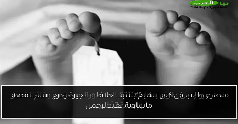 مصرع طالب في كفر الشيخ بسبب خلافات الجيرة ودرج سلم.. قصة مأساوية لعبدالرحمن