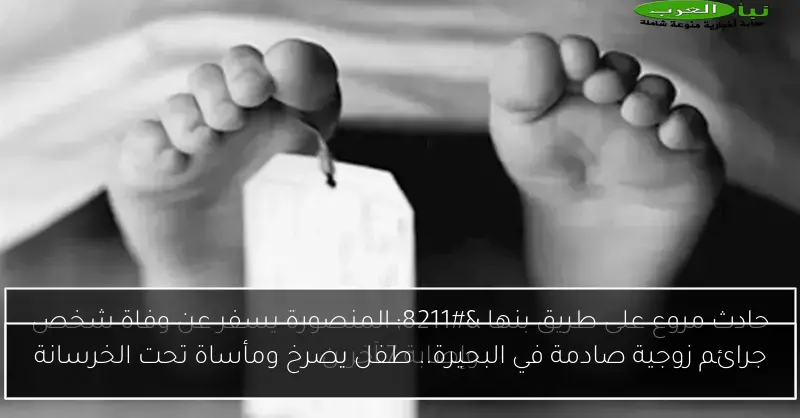 جرائم زوجية صادمة في البحيرة.. طفل يصرخ ومأساة تحت الخرسانة