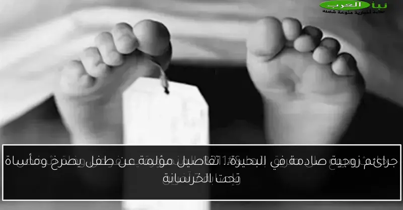 جرائم زوجية صادمة في البحيرة.. تفاصيل مؤلمة عن طفل يصرخ ومأساة تحت الخرسانة