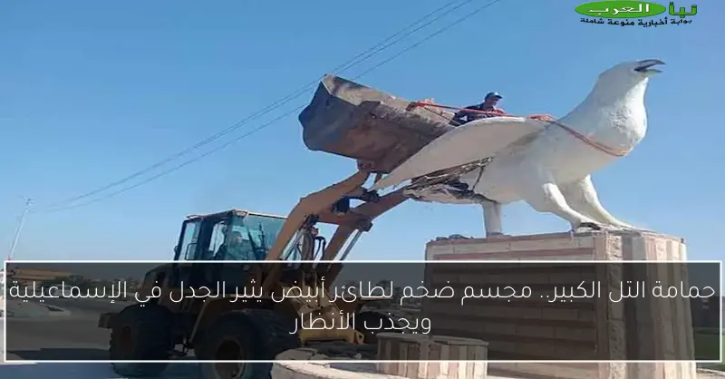 حمامة التل الكبير.. مجسم ضخم لطائر أبيض يثير الجدل في الإسماعيلية ويجذب الأنظار