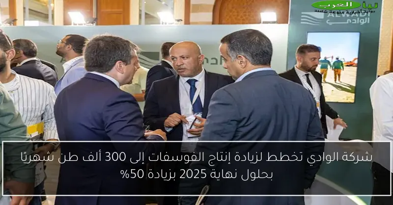 شركة الوادي تخطط لزيادة إنتاج الفوسفات إلى 300 ألف طن شهريًا بحلول نهاية 2025 بزيادة 50%