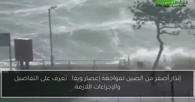 إنذار أصفر من الصين لمواجهة إعصار ويفا.. تعرف على التفاصيل والإجراءات اللازمة
