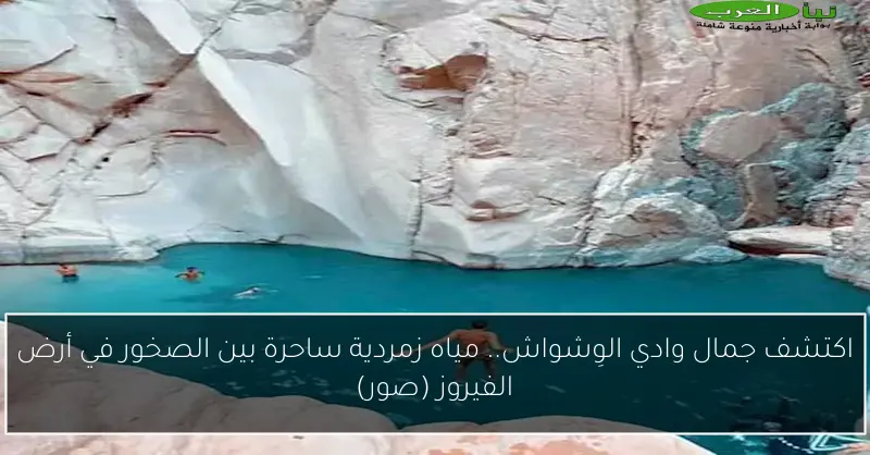 اكتشف جمال وادي الوِشواش.. مياه زمردية ساحرة بين الصخور في أرض الفيروز (صور)