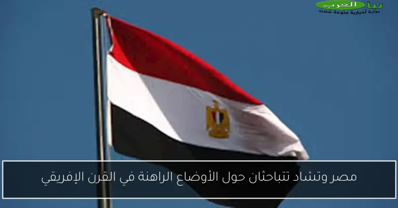 مصر وتشاد تتباحثان حول الأوضاع الراهنة في القرن الإفريقي