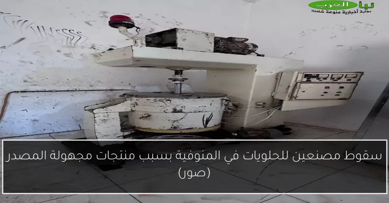 سقوط مصنعين للحلويات في المنوفية بسبب منتجات مجهولة المصدر (صور)