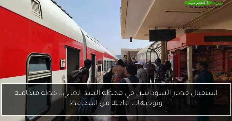 استقبال قطار السودانيين في محطة السد العالي.. خطة متكاملة وتوجيهات عاجلة من المحافظ