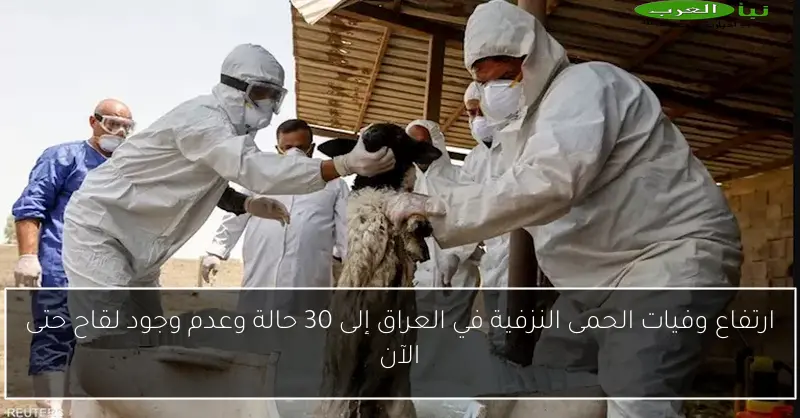 ارتفاع وفيات الحمى النزفية في العراق إلى 30 حالة وعدم وجود لقاح حتى الآن