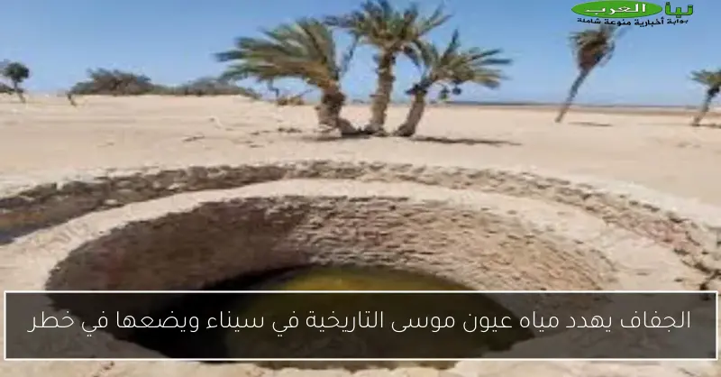 الجفاف يهدد مياه عيون موسى التاريخية في سيناء ويضعها في خطر