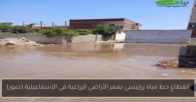 انقطاع خط مياه رئيسي يغمر الأراضي الزراعية في الإسماعيلية (صور)