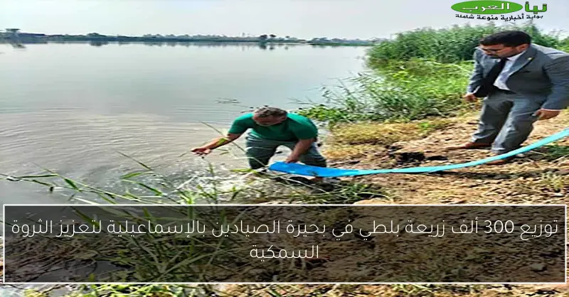 توزيع 300 ألف زريعة بلطي في بحيرة الصيادين بالإسماعيلية لتعزيز الثروة السمكية