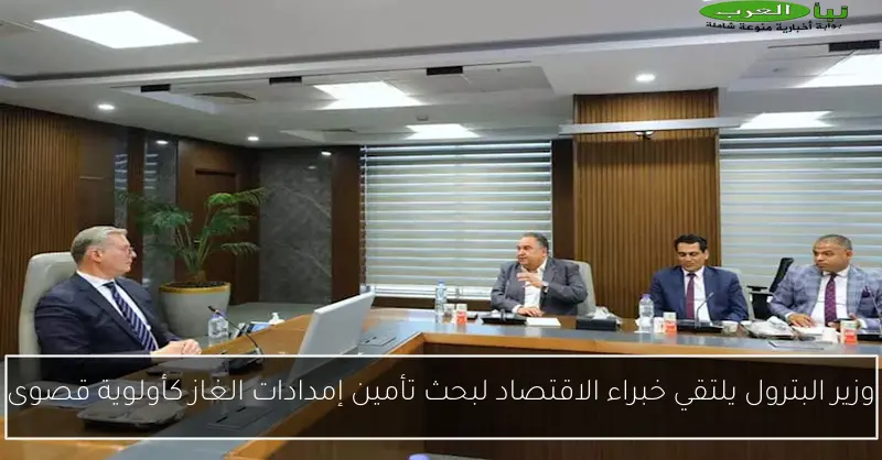وزير البترول يلتقي خبراء الاقتصاد لبحث تأمين إمدادات الغاز كأولوية قصوى