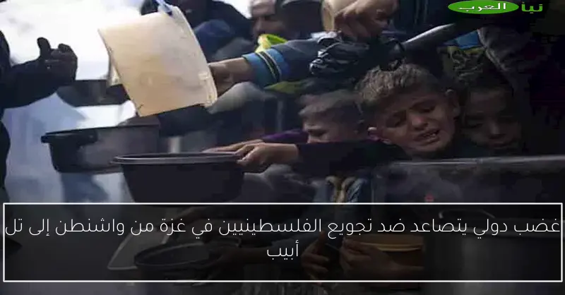 غضب دولي يتصاعد ضد تجويع الفلسطينيين في غزة من واشنطن إلى تل أبيب