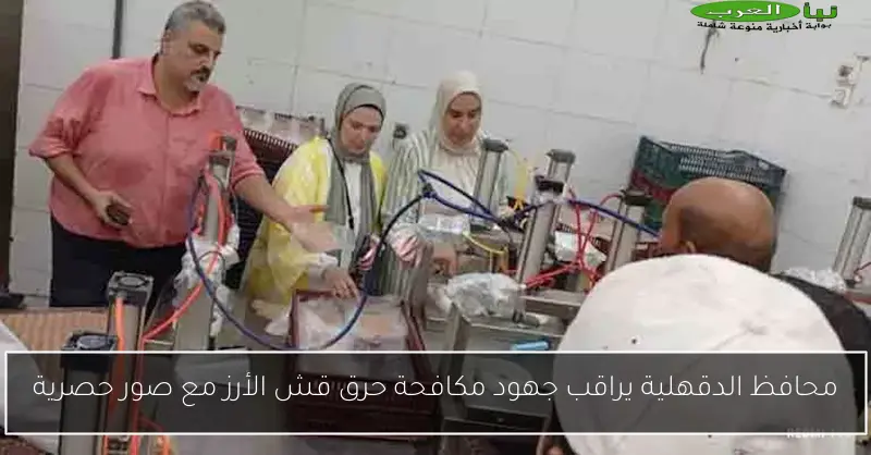 محافظ الدقهلية يراقب جهود مكافحة حرق قش الأرز مع صور حصرية