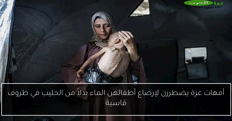 أمهات غزة يضطررن لإرضاع أطفالهن الماء بدلاً من الحليب في ظروف قاسية