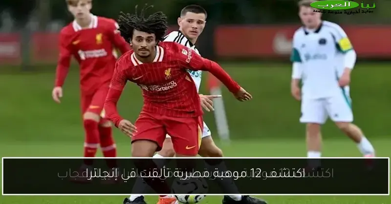اكتشف 12 موهبة مصرية تألقت في إنجلترا
