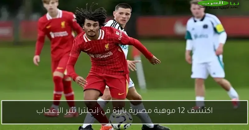 اكتشف 12 موهبة مصرية بارزة في إنجلترا تثير الإعجاب