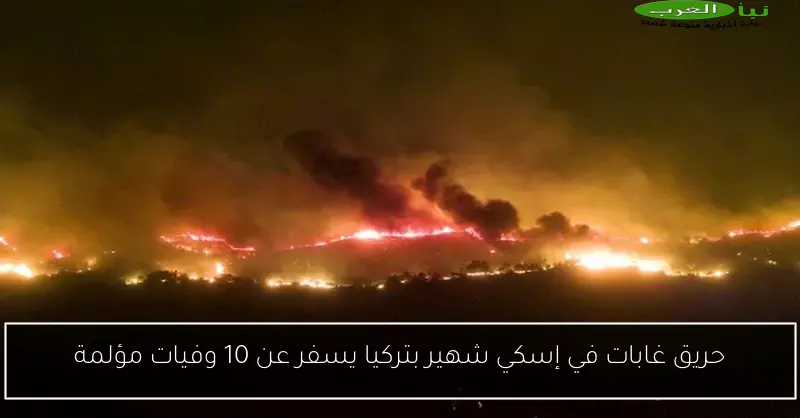 حريق غابات في إسكي شهير بتركيا يسفر عن 10 وفيات مؤلمة