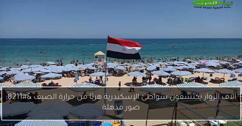 آلاف الزوار يكتشفون شواطئ الإسكندرية هربًا من حرارة الصيف – صور مذهلة
