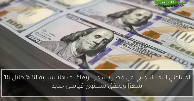 احتياطي النقد الأجنبي في مصر يسجل ارتفاعًا مذهلاً بنسبة 38% خلال 18 شهرًا ويحقق مستوى قياسي جديد