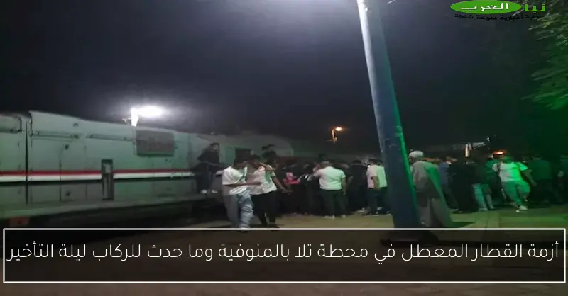 أزمة القطار المعطل في محطة تلا بالمنوفية وما حدث للركاب ليلة التأخير