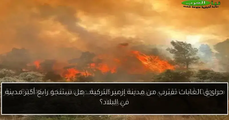 حرائق الغابات تقترب من مدينة إزمير التركية.. هل ستنجو رابع أكبر مدينة في البلاد؟