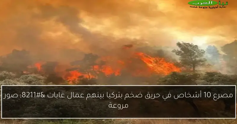 مصرع 10 أشخاص في حريق ضخم بتركيا بينهم عمال غابات – صور مروعة