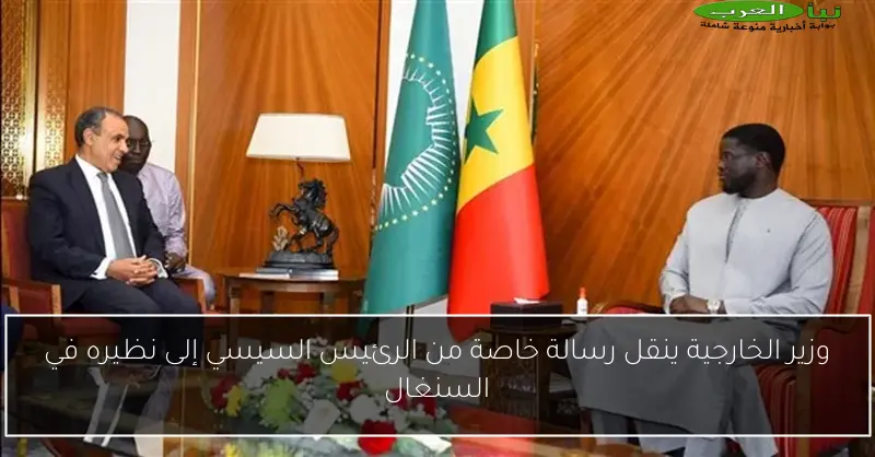 وزير الخارجية ينقل رسالة خاصة من الرئيس السيسي إلى نظيره في السنغال