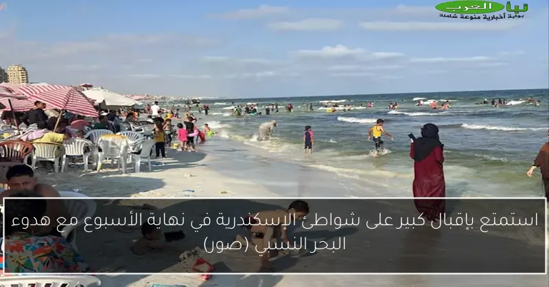 استمتع بإقبال كبير على شواطئ الإسكندرية في نهاية الأسبوع مع هدوء البحر النسبي (صور)