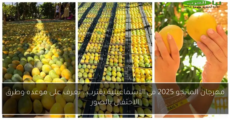 مهرجان المانجو 2025 في الإسماعيلية يقترب.. تعرف على موعده وطرق الاحتفال بالصور