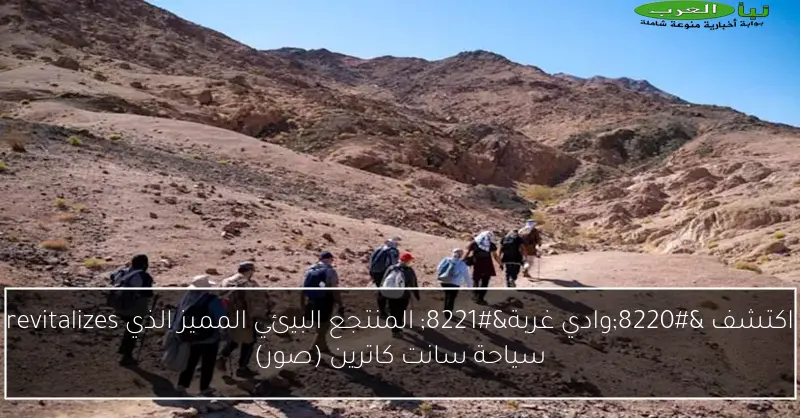 اكتشف “وادي غربة” المنتجع البيئي المميز الذي revitalizes سياحة سانت كاترين (صور)
