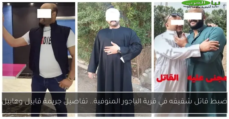 ضبط قاتل شقيقه في قرية الباجور المنوفية.. تفاصيل جريمة قابيل وهابيل