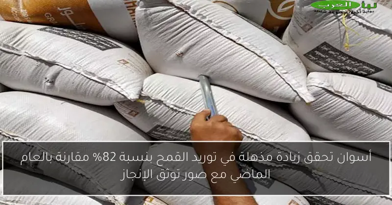 أسوان تحقق زيادة مذهلة في توريد القمح بنسبة 82% مقارنة بالعام الماضي مع صور توثق الإنجاز