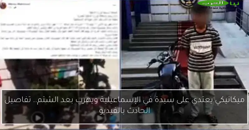 ميكانيكي يعتدي على سيدة في الإسماعيلية ويهرب بعد الشتم.. تفاصيل الحادث بالفيديو