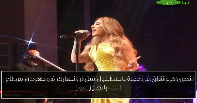 نجوى كرم تتألق في حفلة بإسطنبول قبل أن تشارك في مهرجان قرطاج بالصور
